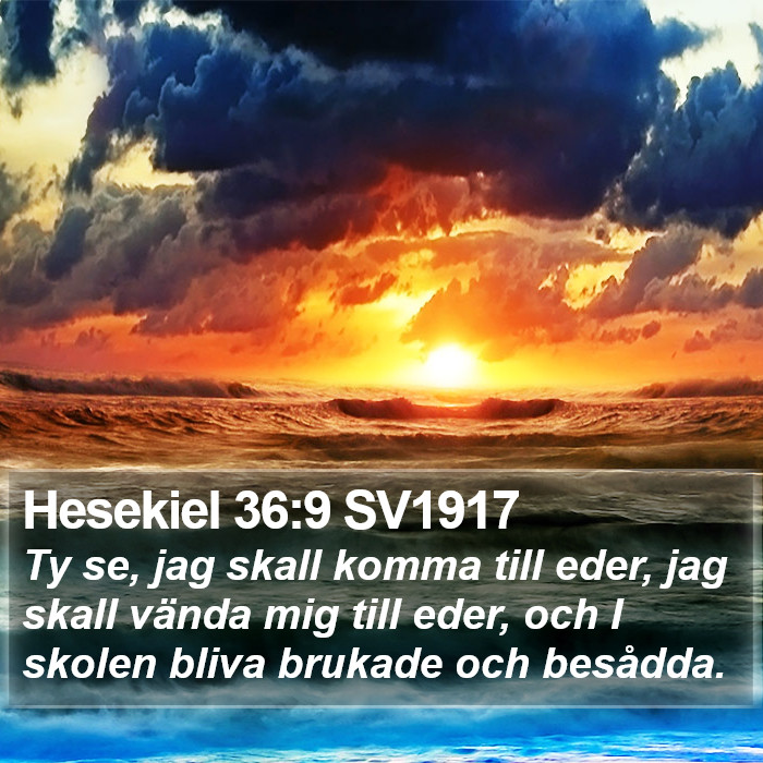 Hesekiel 36:9 SV1917 Bible Study