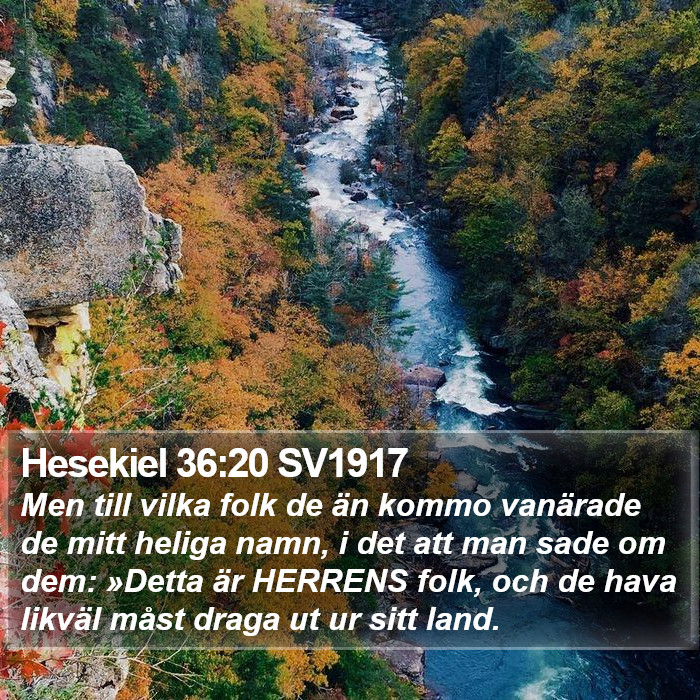 Hesekiel 36:20 SV1917 Bible Study