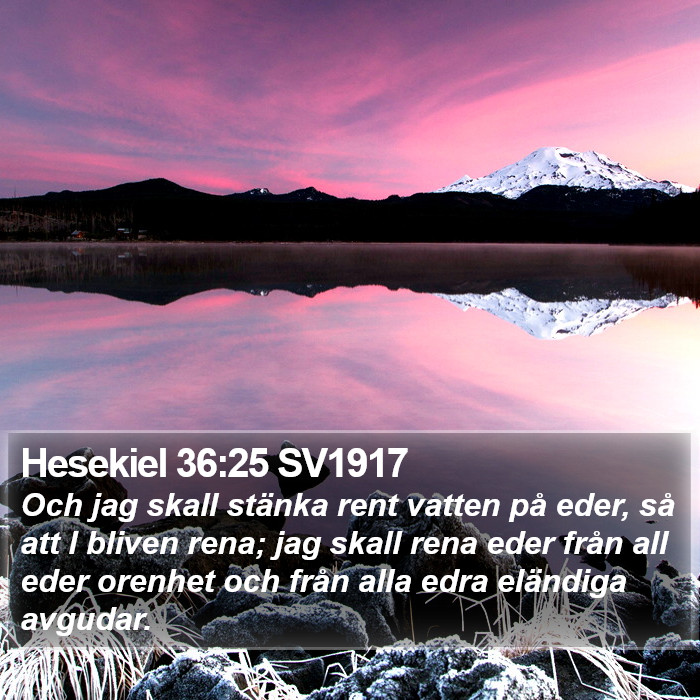 Hesekiel 36:25 SV1917 Bible Study