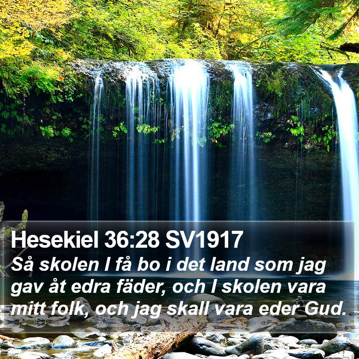 Hesekiel 36:28 SV1917 Bible Study