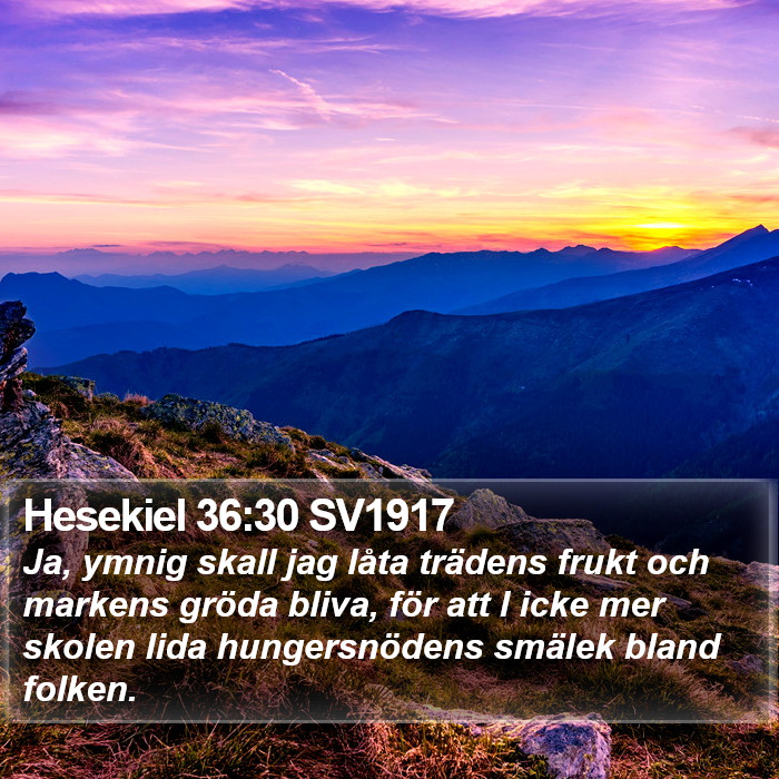 Hesekiel 36:30 SV1917 Bible Study