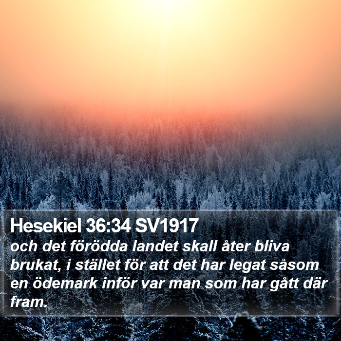 Hesekiel 36:34 SV1917 Bible Study