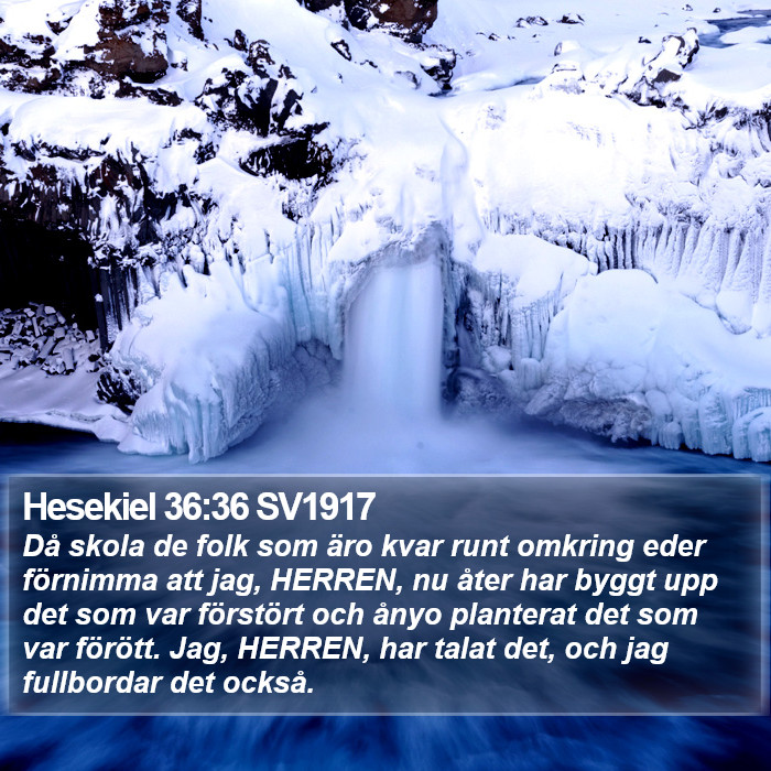 Hesekiel 36:36 SV1917 Bible Study