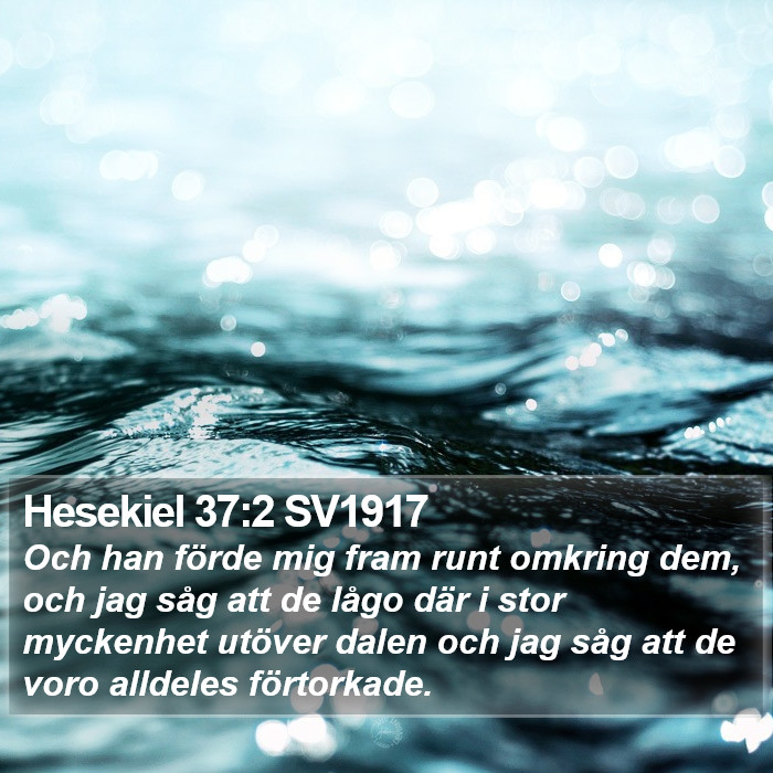 Hesekiel 37:2 SV1917 Bible Study