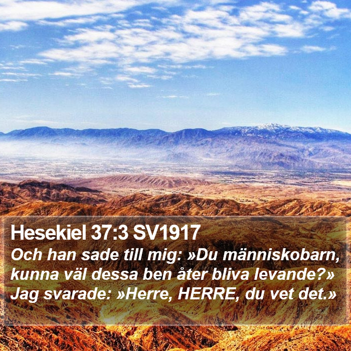 Hesekiel 37:3 SV1917 Bible Study