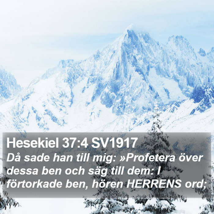 Hesekiel 37:4 SV1917 Bible Study