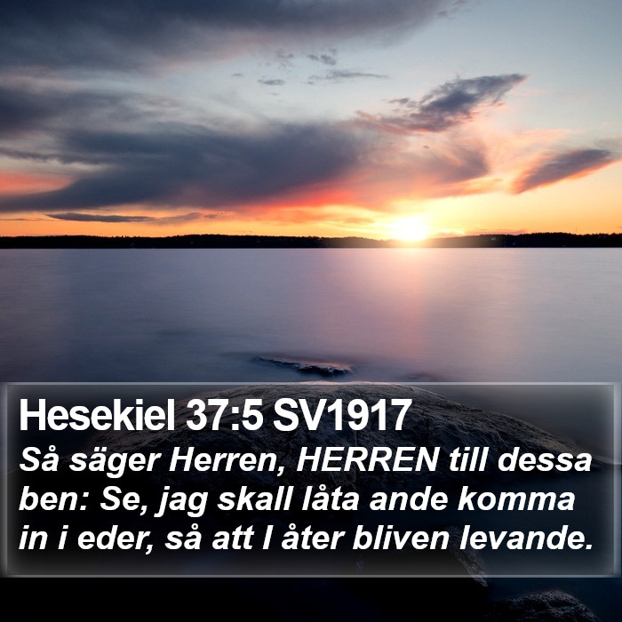 Hesekiel 37:5 SV1917 Bible Study