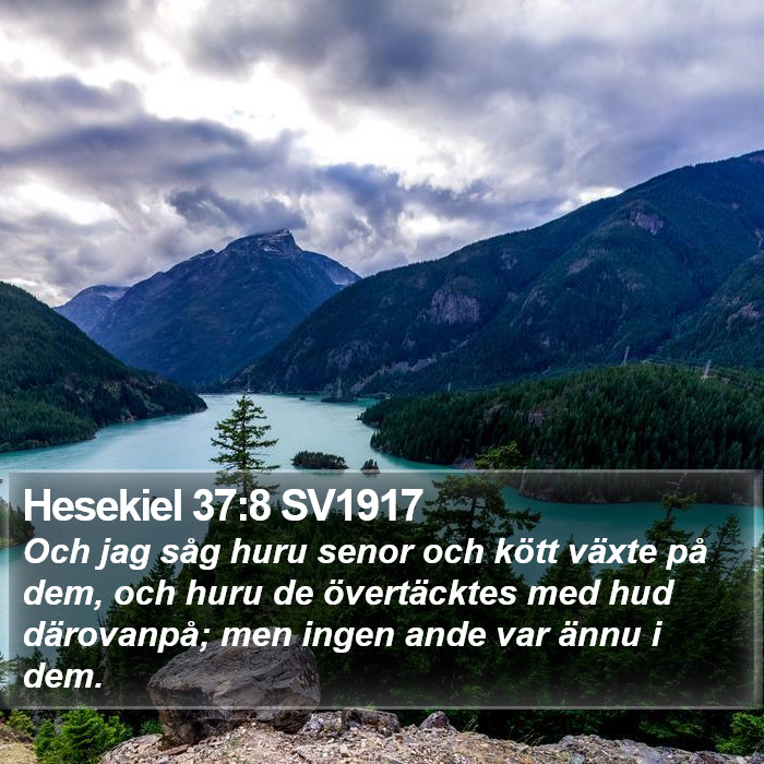 Hesekiel 37:8 SV1917 Bible Study