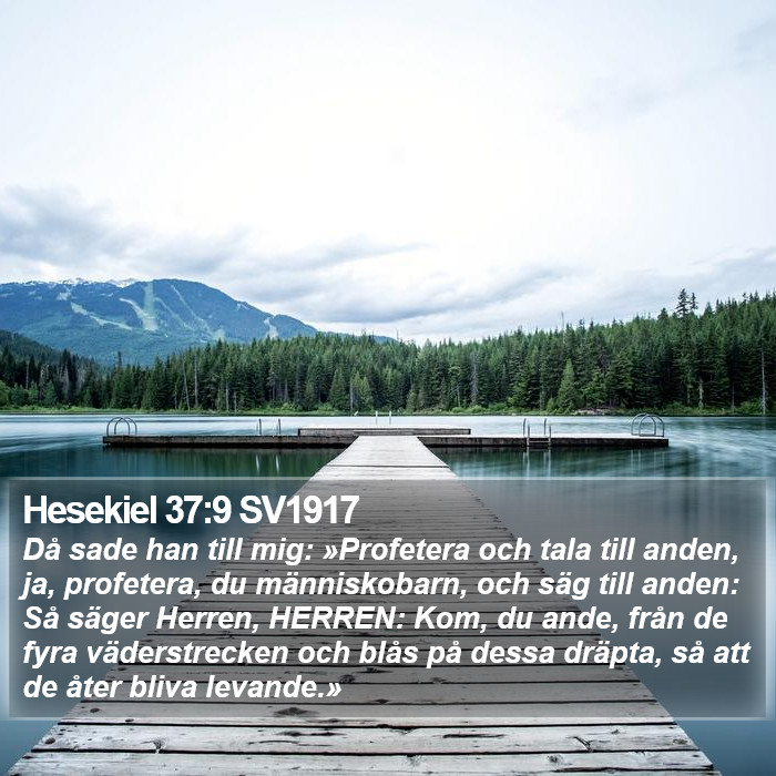 Hesekiel 37:9 SV1917 Bible Study