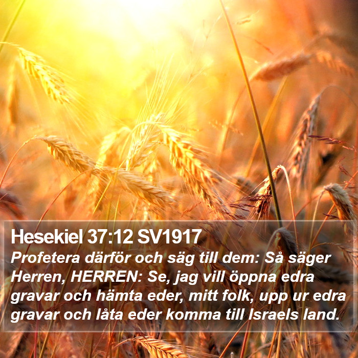 Hesekiel 37:12 SV1917 Bible Study