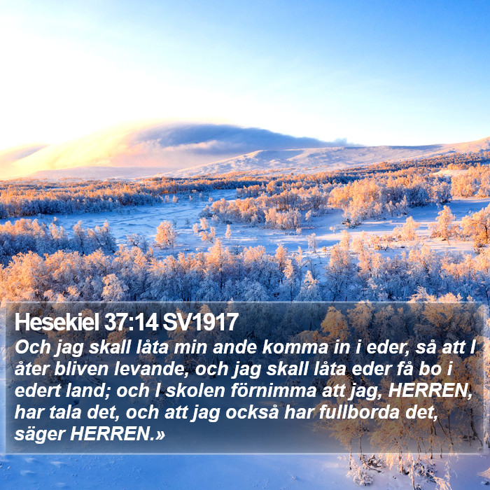 Hesekiel 37:14 SV1917 Bible Study