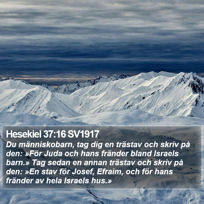 Hesekiel 37:16 SV1917 Bible Study