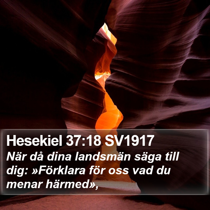 Hesekiel 37:18 SV1917 Bible Study