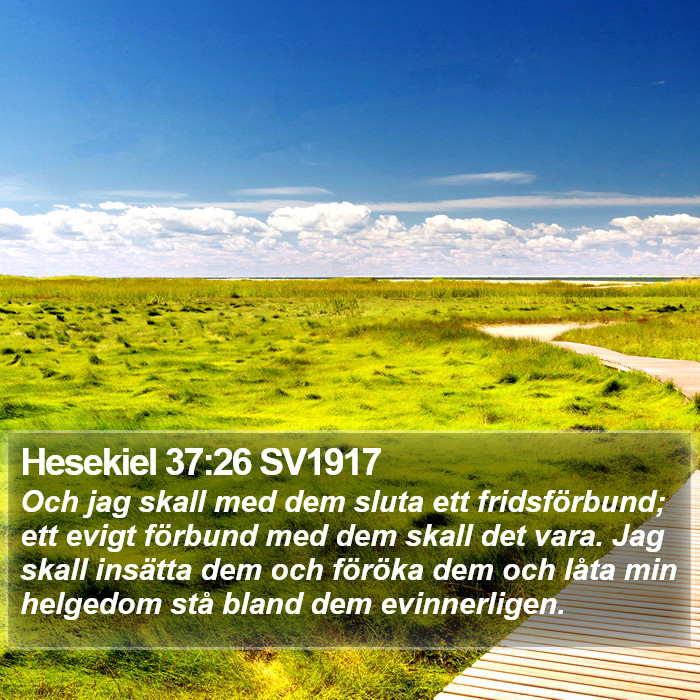 Hesekiel 37:26 SV1917 Bible Study