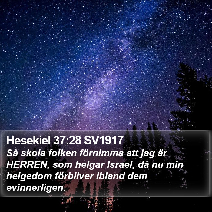 Hesekiel 37:28 SV1917 Bible Study