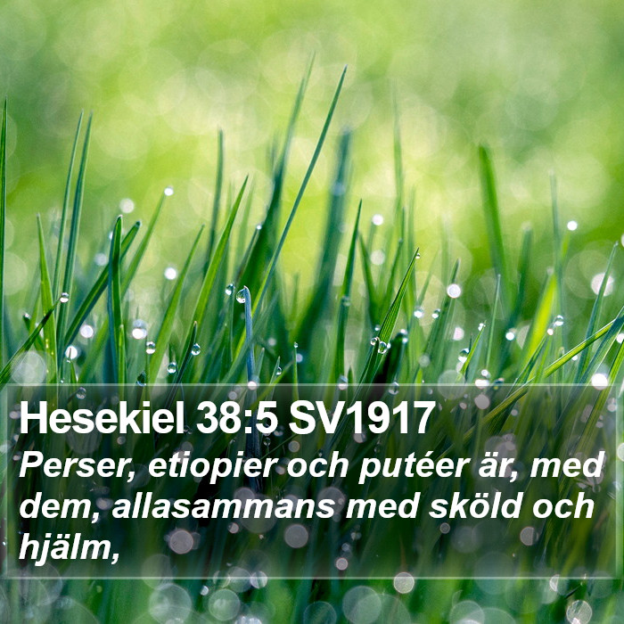 Hesekiel 38:5 SV1917 Bible Study