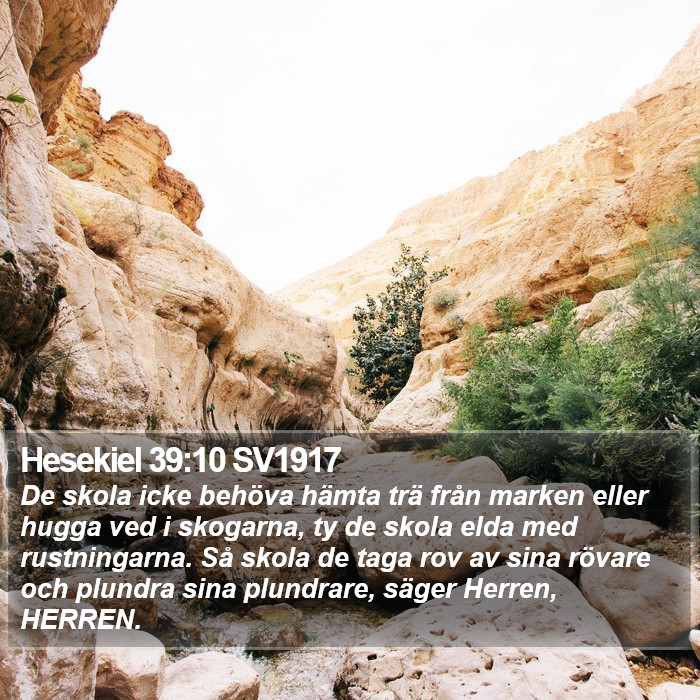 Hesekiel 39:10 SV1917 Bible Study