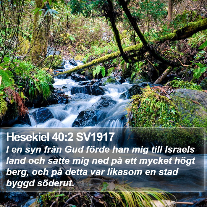 Hesekiel 40:2 SV1917 Bible Study