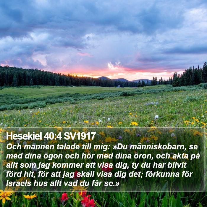 Hesekiel 40:4 SV1917 Bible Study