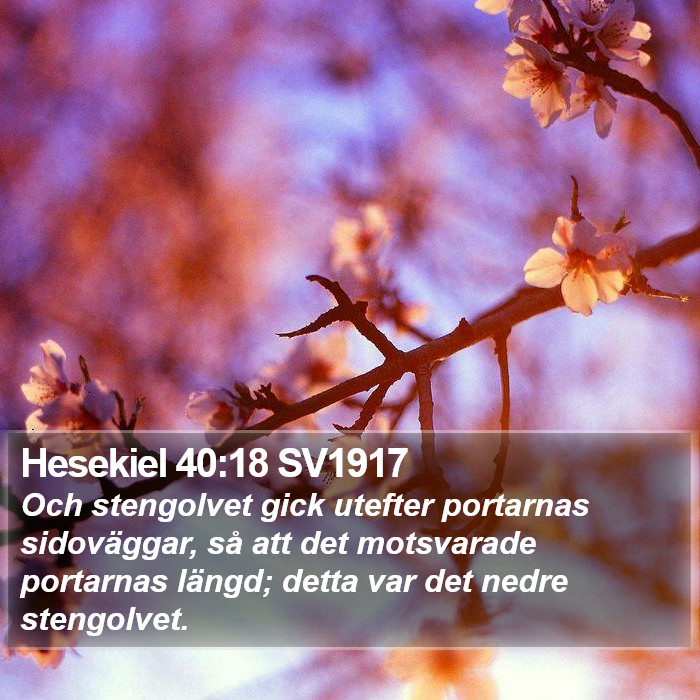 Hesekiel 40:18 SV1917 Bible Study