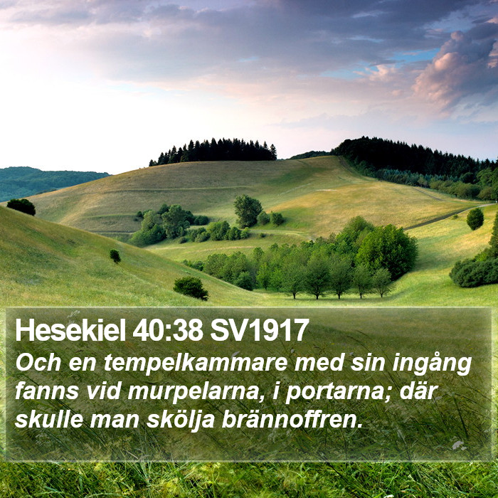 Hesekiel 40:38 SV1917 Bible Study