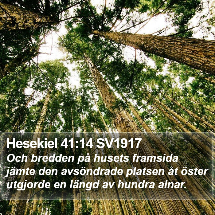 Hesekiel 41:14 SV1917 Bible Study