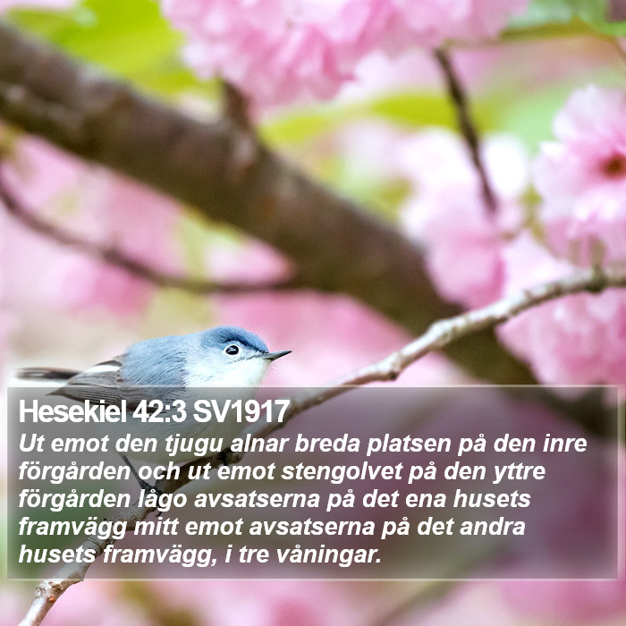 Hesekiel 42:3 SV1917 Bible Study