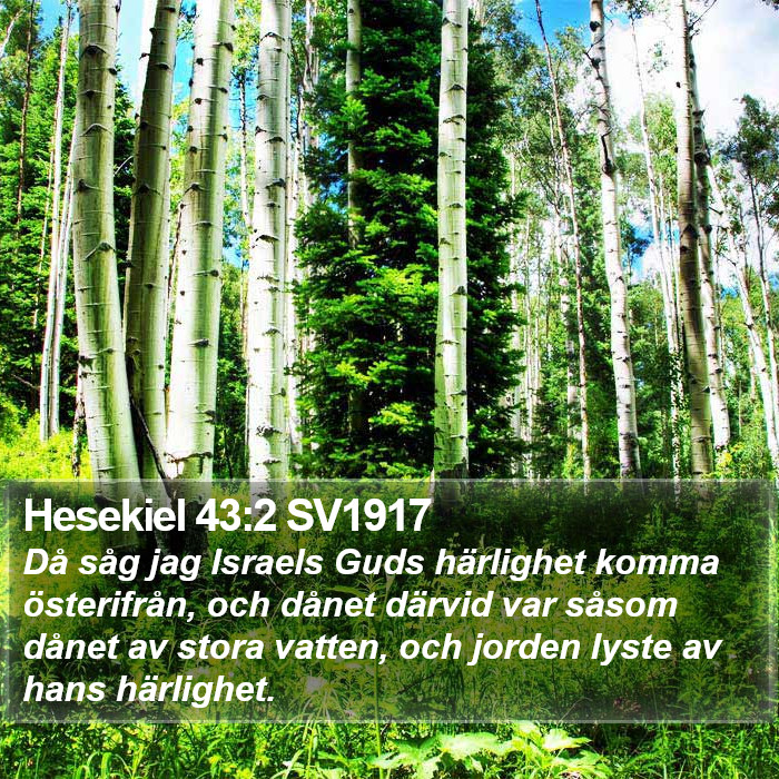 Hesekiel 43:2 SV1917 Bible Study