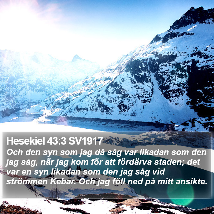 Hesekiel 43:3 SV1917 Bible Study