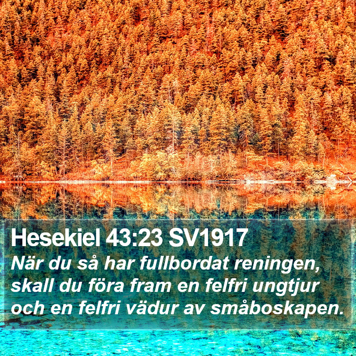 Hesekiel 43:23 SV1917 Bible Study