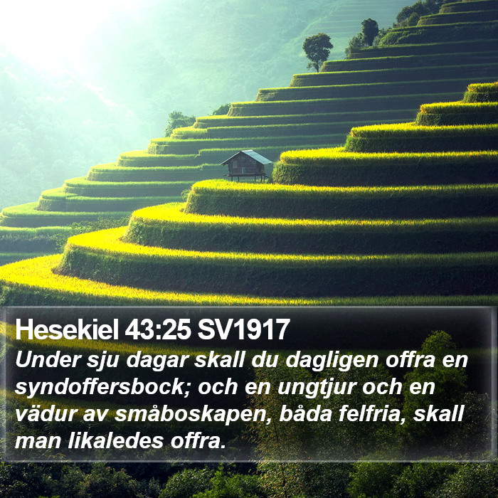 Hesekiel 43:25 SV1917 Bible Study