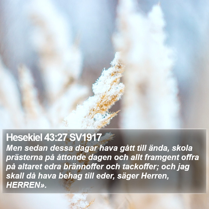 Hesekiel 43:27 SV1917 Bible Study