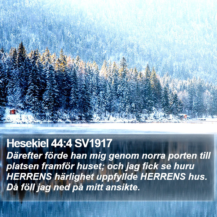 Hesekiel 44:4 SV1917 Bible Study