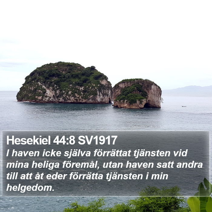 Hesekiel 44:8 SV1917 Bible Study