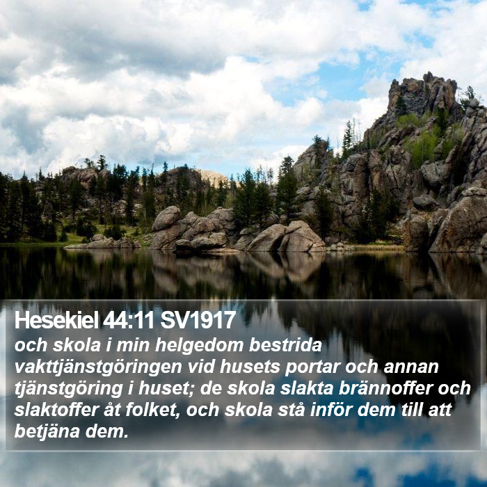 Hesekiel 44:11 SV1917 Bible Study