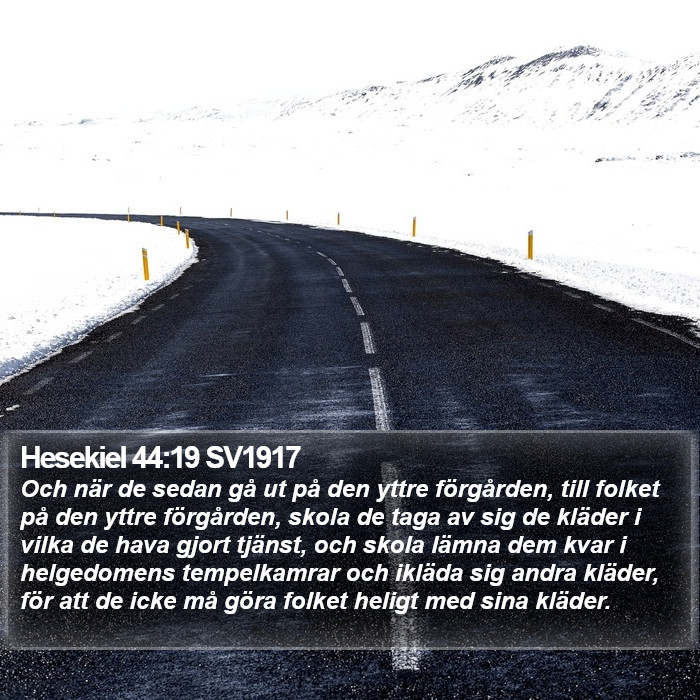 Hesekiel 44:19 SV1917 Bible Study