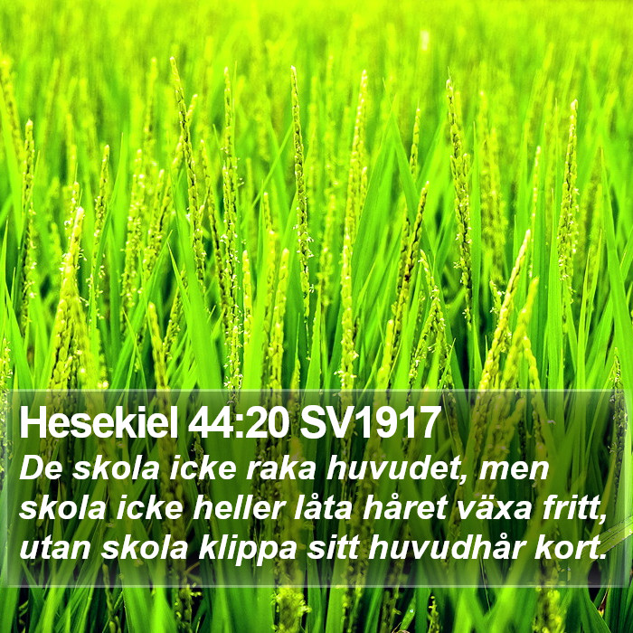 Hesekiel 44:20 SV1917 Bible Study