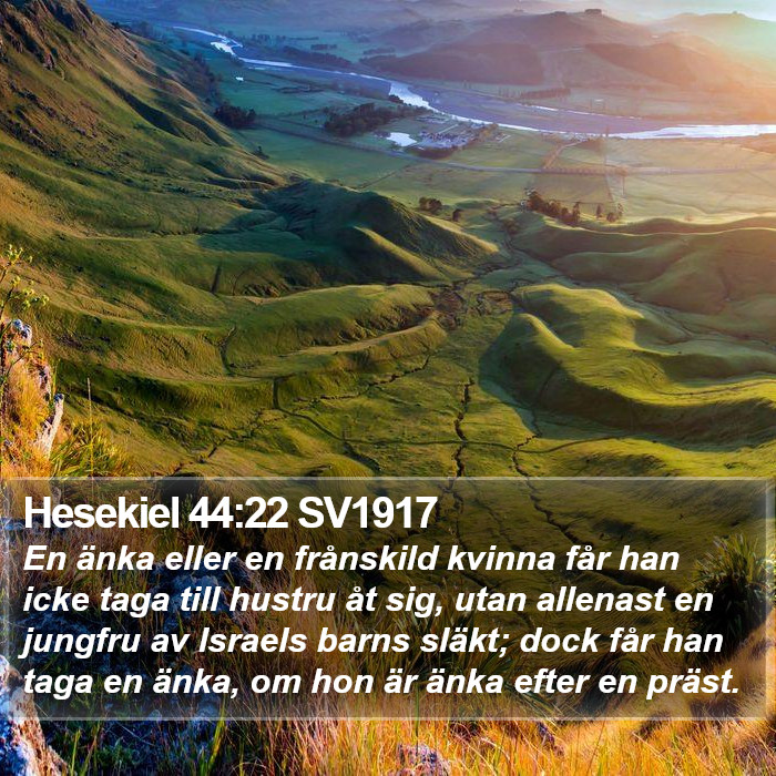 Hesekiel 44:22 SV1917 Bible Study