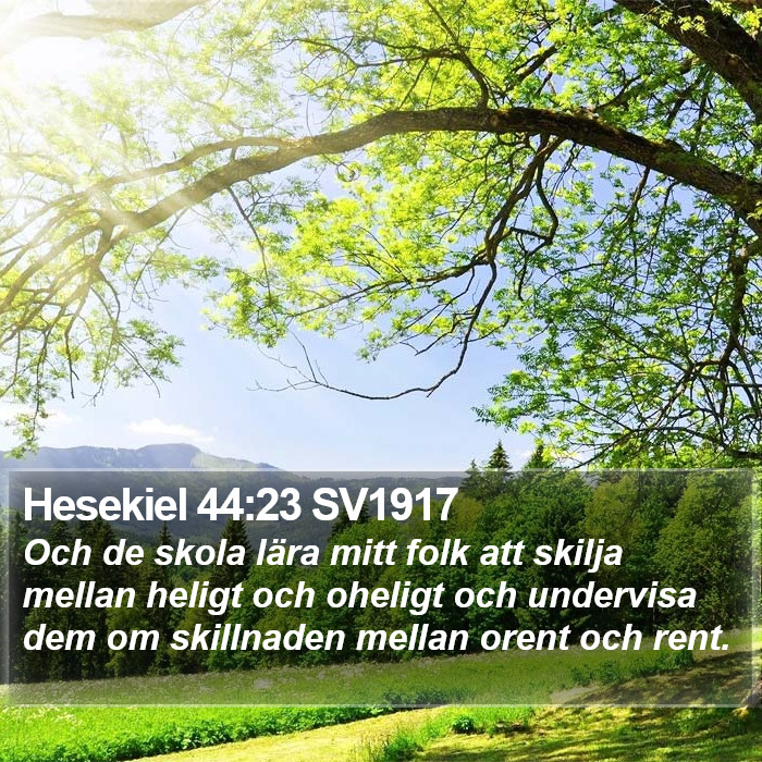 Hesekiel 44:23 SV1917 Bible Study