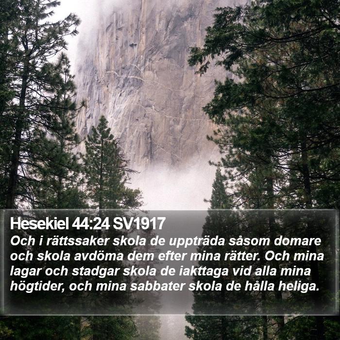 Hesekiel 44:24 SV1917 Bible Study