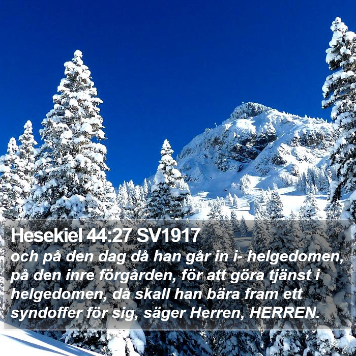 Hesekiel 44:27 SV1917 Bible Study