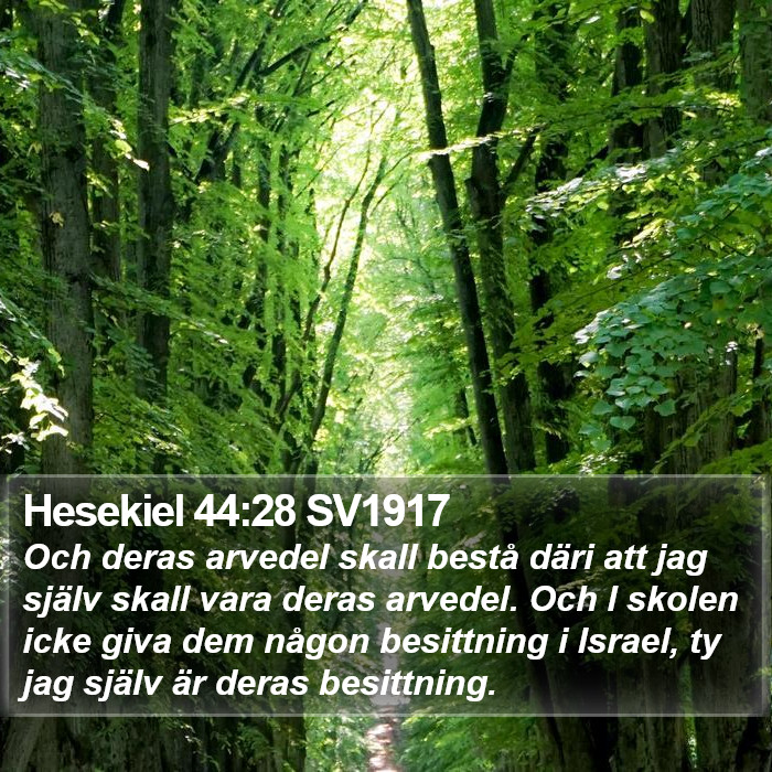 Hesekiel 44:28 SV1917 Bible Study