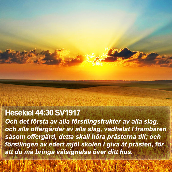 Hesekiel 44:30 SV1917 Bible Study