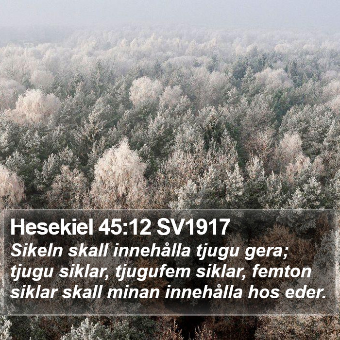 Hesekiel 45:12 SV1917 Bible Study