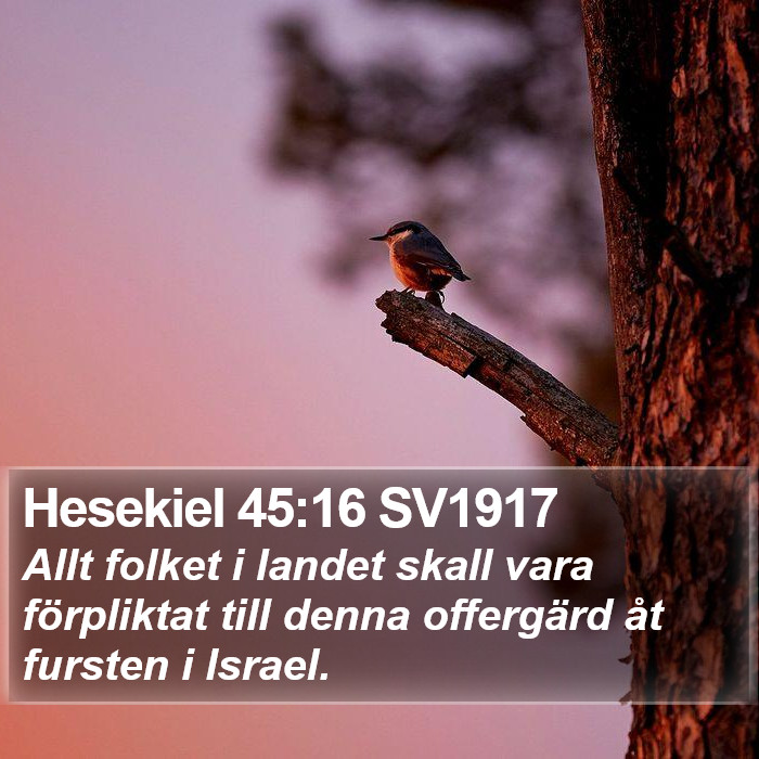 Hesekiel 45:16 SV1917 Bible Study