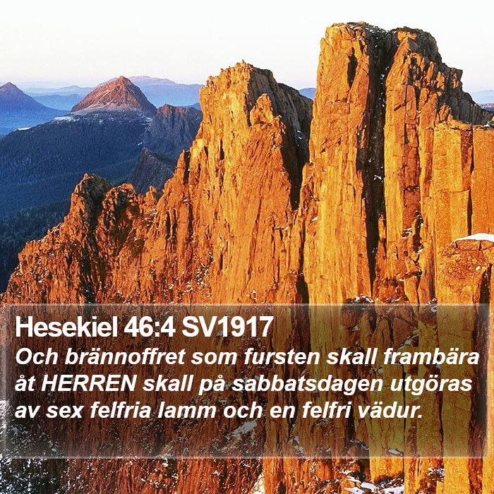 Hesekiel 46:4 SV1917 Bible Study