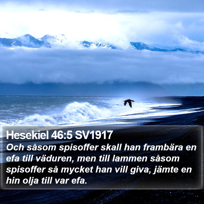 Hesekiel 46:5 SV1917 Bible Study