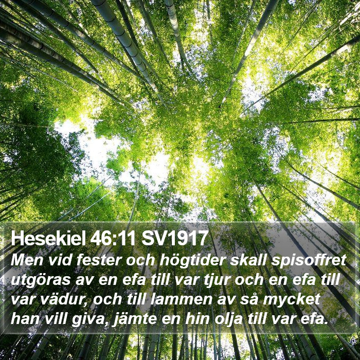 Hesekiel 46:11 SV1917 Bible Study