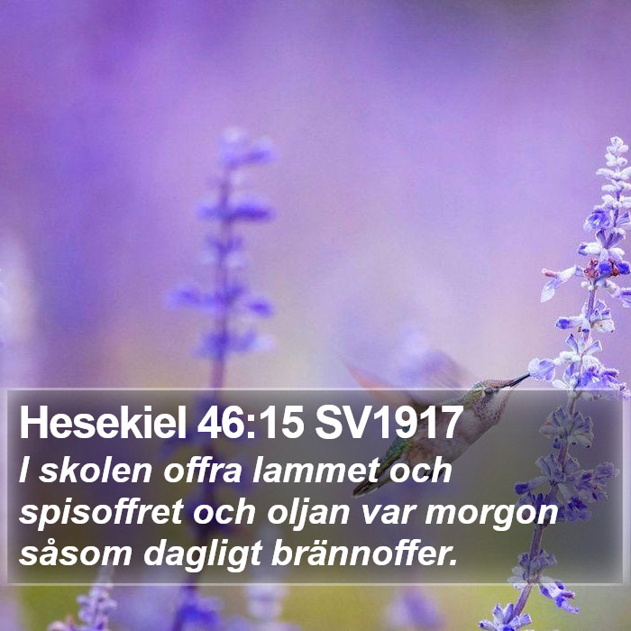 Hesekiel 46:15 SV1917 Bible Study