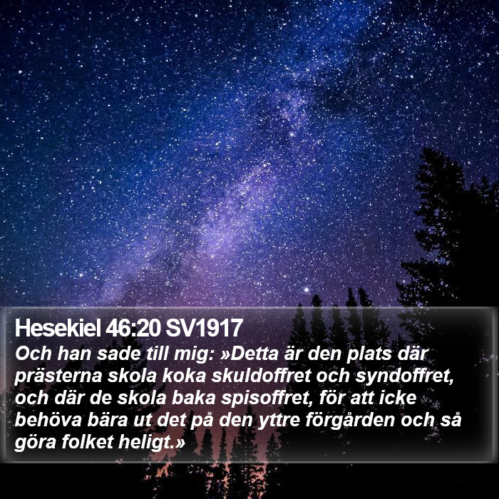 Hesekiel 46:20 SV1917 Bible Study